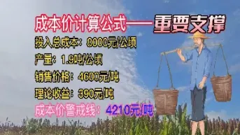 期货加仓摊成本(期货加仓成本会变吗)