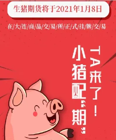 猪肉期货本周五开始交易了(猪肉期货交割月份怎么算)