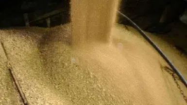 大豆期货豆粕期货(豆粕期货与美国大豆的关联度)_https://www.lytzg.com_原油期货学院_第1张