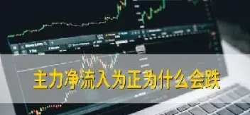 为什么资金净流入期货还跌(期货资金净流入为什么还跌)
