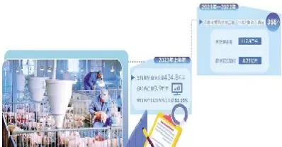生猪期货怎么暂停了(生猪期货为什么跌停)