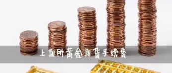 黄金期货的手续费一般是多少(紫金天风期货黄金手续费)