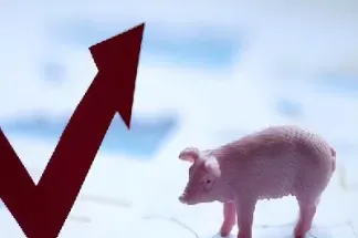 猪肉期货多少倍杠杆(猪肉期货的基本分析)