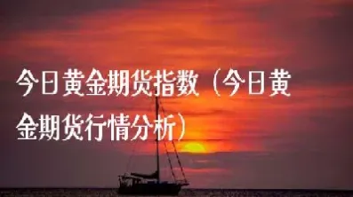 黄金期货指数单位(黄金期货指数单位是什么)