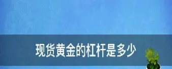外盘黄金期货杠杆是多少倍(外盘黄金期货交易时间)