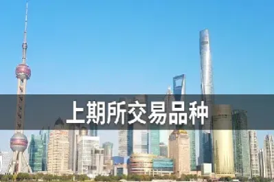 上海期货行情上(上海期货市场行情)