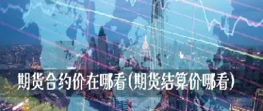 味精期货价在哪看(味精期货在哪里看)