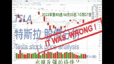 特斯拉股票期货指数代码查询(特斯拉期货实时行情)