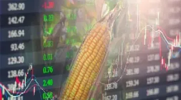 玉米作为期货的特点(玉米是期货中的什么板块)