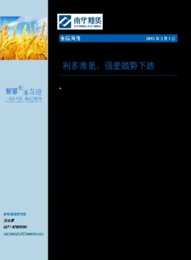 强麦期货有望高位回调(强麦期货走势图)