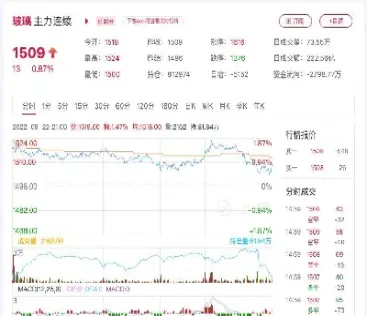 期货(期货机构观点)