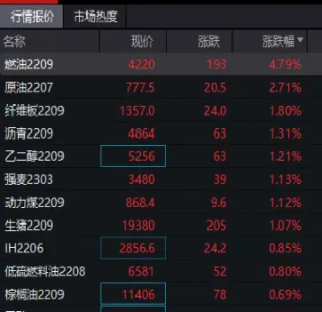 燃油期货品种好做(期货燃油最近行情怎么样)