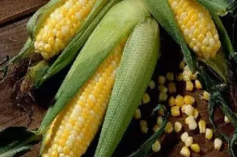 玉米期货什么情况下能够平仓(玉米期货可以持仓多长时间)