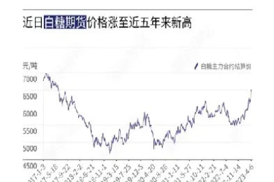 白糖期货变脸在即(白糖期货实时行情)