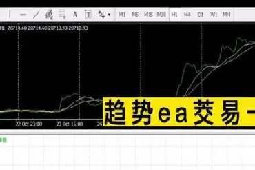 期货bnn是什么(期货中的术语都是什么意思)