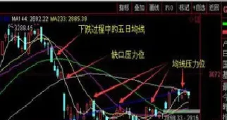 怎么判断期货震荡趋势(怎么判断期货的涨跌趋势)