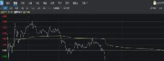 猪肉期货的单位是什么意思(生猪期货单位是什么)