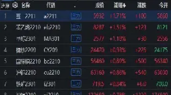 中期长春期货1117早盘(85期货品种早盘解析)