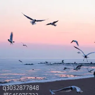 期货补多补空什么意思(期货补涨是什么意思)