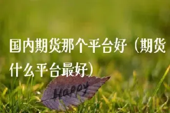 国内期货都是什么开头(国内期货开始时间)