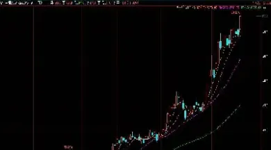 白糖期货交割现场(白糖期货交割现场图)_https://www.lytzg.com_原油直播室_第1张