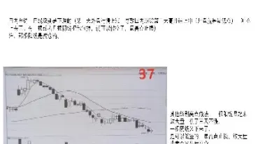一个期货投资者的市场心得(期货市场投资者人数)