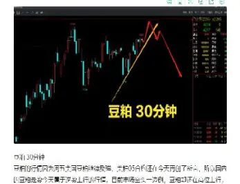 中期期货恐慌指数做空的研报(中期期货可信吗)