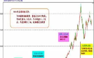 棉花白糖期货实时行情(白糖棉花期货直播)
