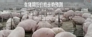 猪肉可不可以做期货(猪肉有期货吗现在)