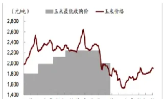 玉米期货年化波动率(玉米期货年化波动率是多少)
