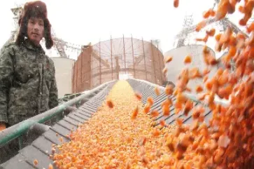 美玉米期货上涨的原因是什么(美玉米期货交易时间)