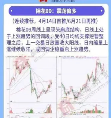 适合期货新手品种(新手可以买期货哪个品种)