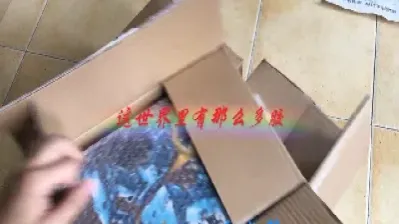 胶板期货为什么不动(胶板期货为什么大涨)
