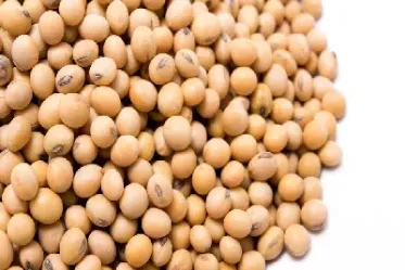 美国黄大豆期货(美国黄大豆期货实时行情)