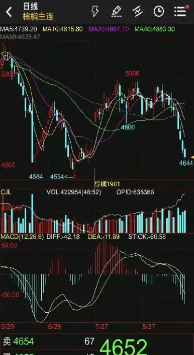 棕榈油期货走势(期货棕榈油的行情走势如何)
