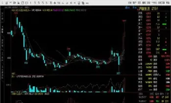 期货白银有延期费吗(期货白银还会继续上涨吗)_https://www.lytzg.com_原油直播室_第1张