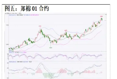 郑棉期货主力合约(郑棉期货今日价格行情)