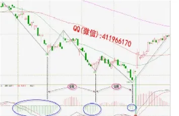 期货外汇精华(期货外汇交易)_https://www.lytzg.com_原油直播室_第1张