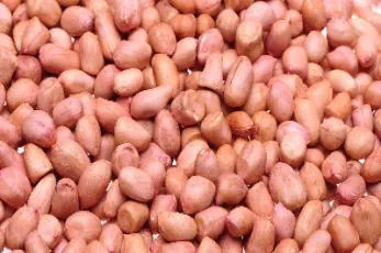 花生期货交割几个筛的花生米(花生期货交割的粒径是多少)_https://www.lytzg.com_原油直播室_第1张