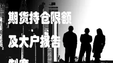 期货市场大户持仓报告(期货市场大户持仓报告怎么看)