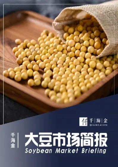 大豆期货市场贴现率多少(大豆期货市场走势国内)