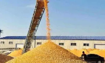 玉米期货下跌是什么意思(期货玉米下跌的因素有哪些)