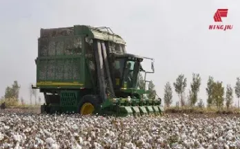 今年棉花期货三月到六月涨还是跌(今年棉花期货价格是多少)_https://www.lytzg.com_原油直播室_第1张