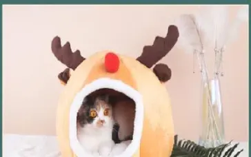 期货可以有几个账户吗(期货能开几个账户)_https://www.lytzg.com_原油直播室_第1张