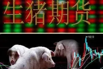 大商所生猪期货怎么交易(大商所生猪期货合约讲解)