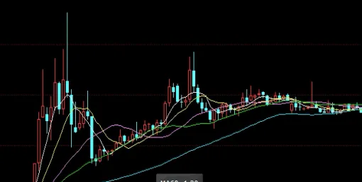 牛肉期货交易规则(牛肉期货是什么意思)