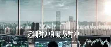 期货合约和对冲机制的关系是什么(期货合约对冲利率风险)