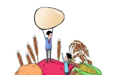 农产品期货在市场中发挥的作用(农产品期货市场的功能与作用)