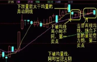 新手必看股指期货知识(期货新手入门必看)
