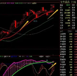 国内期货交易数据(期货交易规则大全)